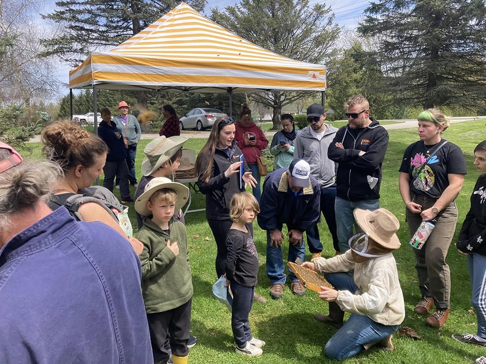 A hands-on beekeeping experience with visitors