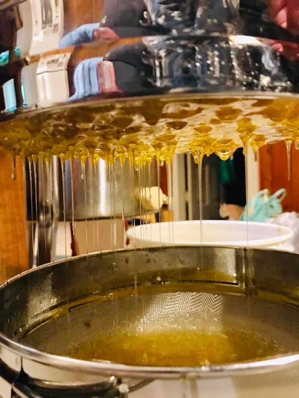 Honey being filtered into a pail